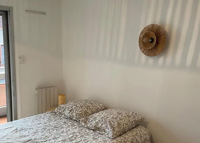 公寓 Cosy En Plein Centre Classe 2 Etoiles 艾克斯莱班