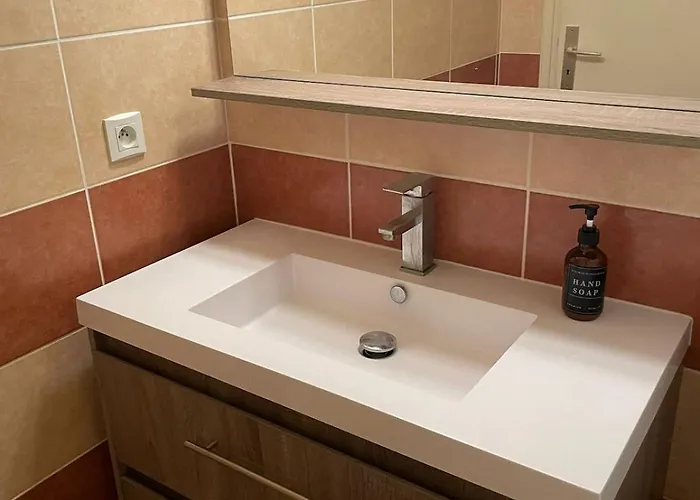 公寓 Cosy En Plein Centre Classe 2 Etoiles 艾克斯莱班