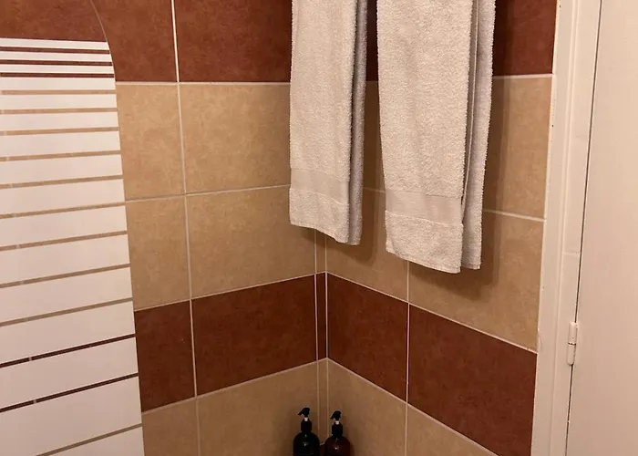 Cosy En Plein Centre Classe 2 Etoiles 公寓 *